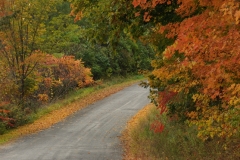 Lane Storms Fall (2) #2178