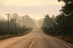 Road-Misty-3775