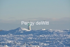 Lighthouse-Wellington-Swans-Winter-3489