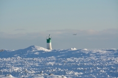 Lighthouse Wellington Swans Winter #3489