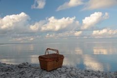 Little Bluff Picnic Basket #2758