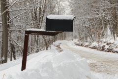 Mailbox Black River Winter #2183