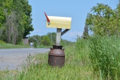 Mailbox-Yellow-3759