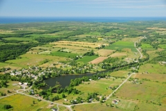 Milford Aerial Canola #2741