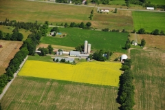 Milford Aerial Canola Miller #2821