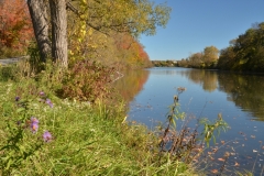 Milford Pond Smooth Fall #3298