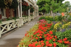 Niagara-On-The-Lake-Flowers-2247