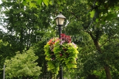 Niagara-On-The-Lake-Lamp-Post-2239