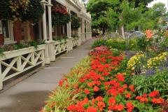 Niagara On The Lake Flowers #2247