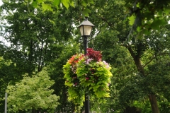 Niagara On The Lake Lamp Post #2239