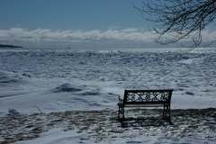 North Beach Bench Winter #1176