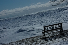 North Beach Bench Winter 2 #1240