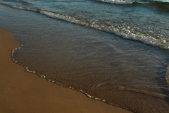 North Beach Smiling (v) #749