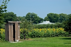 Outhouse Sunflowers Waupoos #2615