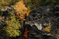 Parry Sound Fall #2627