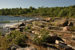 Parry Sound Rocky Shore #1209