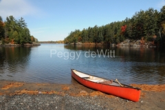 Parry-Sound-Nine-Mile-Lake-Canoe-2633