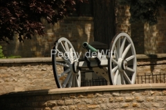 Perth-Cannon-1354