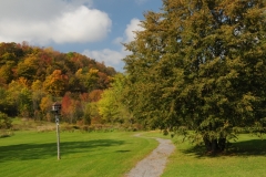 Picton Macaulay Mountain Path #2279