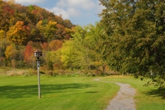 Picton Macaulay Mountain Path Fall 2 #2592