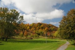 Picton Macaulay Mountain Path Fall #2591