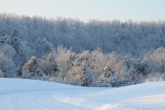 Picton Macaulay Mountain Winter #2280