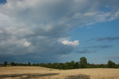 Picton Sky #1906