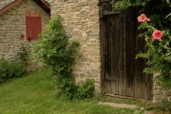 Picton Stone Walls #678a