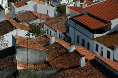 Portugal Roofs #793