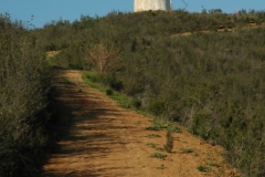 Portugal Santana da Serra 6 (v) #879