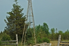 Pt Petre Windmill (v) #1194