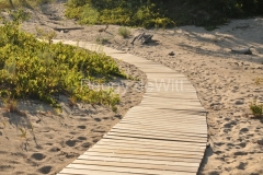 Sandbanks-Boardwalk-3329
