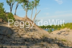Sandbanks-Dunes-v-2662