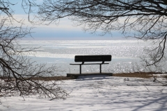 Sandbanks-Bench-Winter-Cold-3779