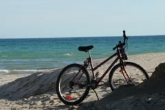 Sandbanks Bike #3327