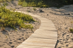 Sandbanks Boardwalk #3329