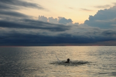 Sandbanks Boy Splasing #2660