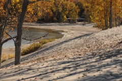 Sandbanks Dunes Hill Fall #2298