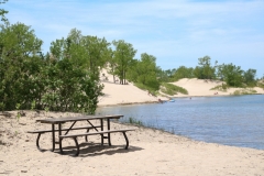 Sandbanks Dunes Picnic Table Summer #3352