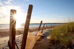 Sandbanks Fence Sun #3608