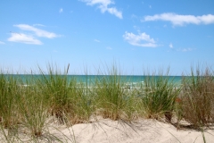 Sandbanks Grass Sand Sky #3610