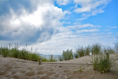Sandbanks-Grass-Storm-Clouds-3783