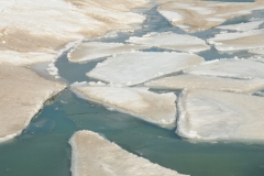 Sandbanks Ice Floating Winter #2418