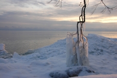 Sandbanks Ice Winter #1198