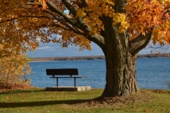 Sandbanks Outlet Bench Fall #3339