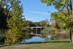 Sandbanks Outlet Bridge Fall #3343