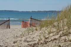 Sandbanks Outlet Snowfence Grass #3358