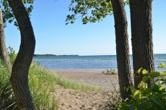 Sandbanks Outlet Through Trees #3359