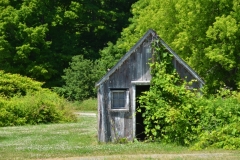 Sandbanks Shed #3371