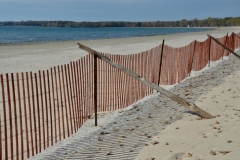 Sandbanks Snowfence Fall #3377